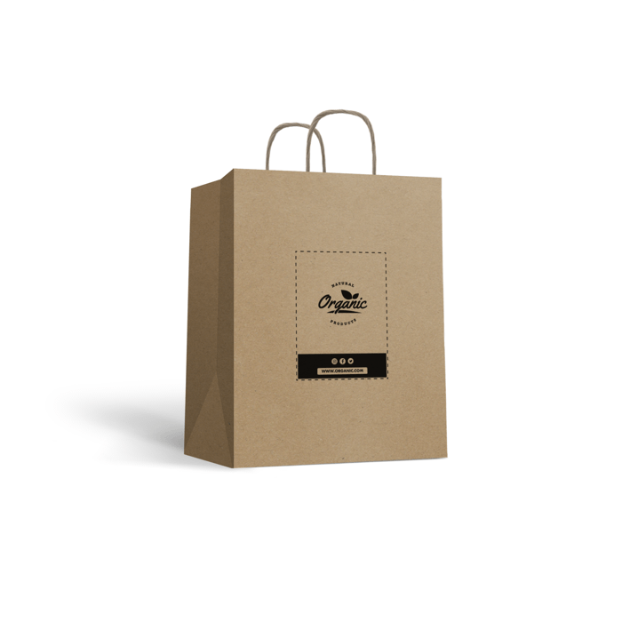 Vertical paper carrier bag with twisted handles