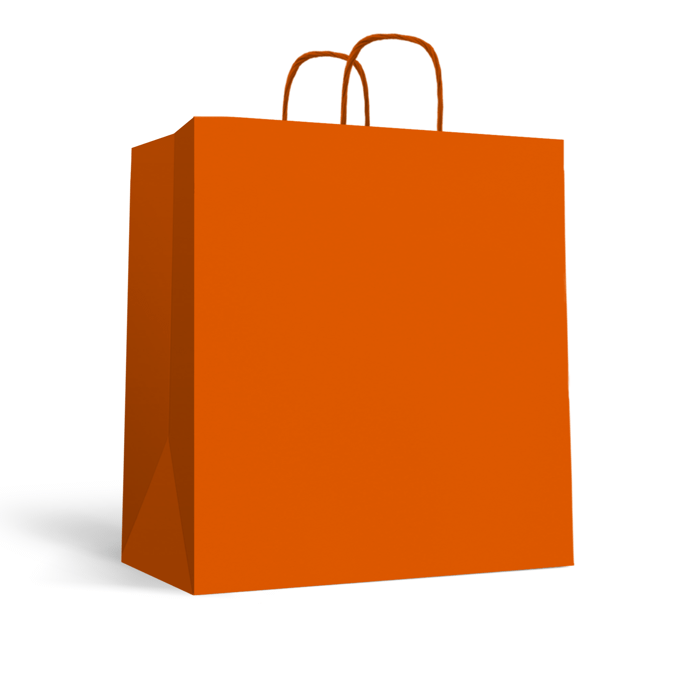 Vertical paper carrier bag with twisted handles