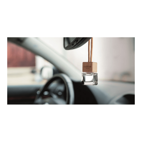 Nieuwe auto aroma luchtverfrisser 5ml Nieuwe auto aroma luchtverfrisser 5ml