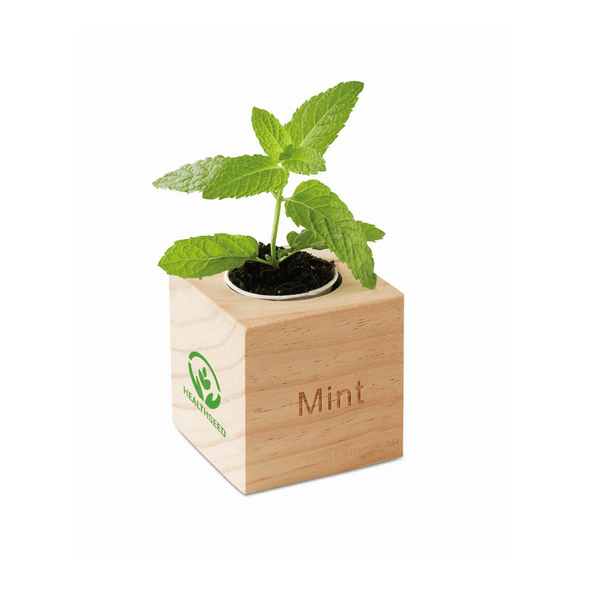 Pot à herbes en bois "MENTHE" Pot à herbes en bois "MENTHE"