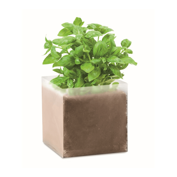 Kompost med frø "BASIL" Kompost med frø "BASIL"