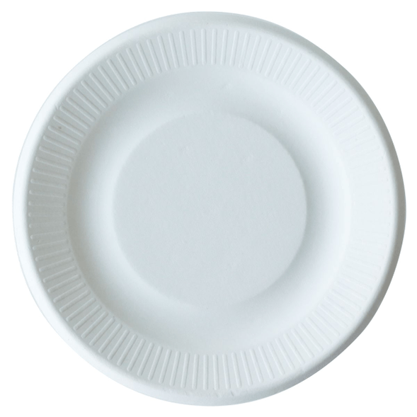 Hard paper plates 2025