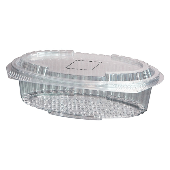 Boîte en plastique pour salade Boîte en plastique pour salade